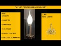 CarryBC CANDELABRA LED BULBS