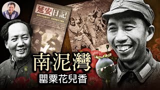 南泥灣的那段革命歷史竟是鴉片歷史(歷史上的今天 20180620第114期)