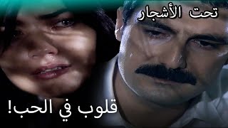 حب فيليز ويلماز لا ينتهي! - القسم الخاص تحت الزيزفون