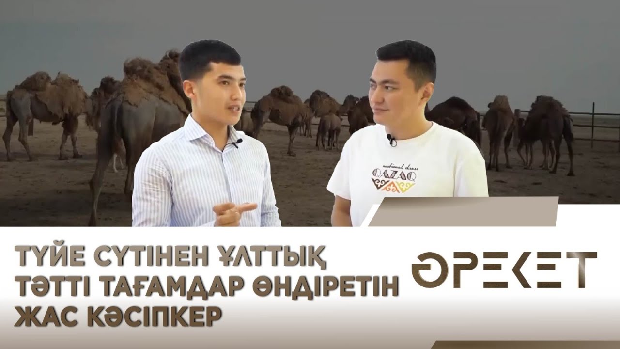 Түйе сүтінен ұлттық тәтті тағамдар өндіретін жас кәсіпкер. «Әрекет»