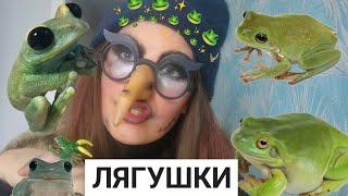 Необычные Лягушки и Жабы 🐸 Школа Бабы Яги 🖤 #бабаяга