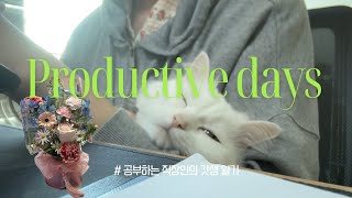 eng) vlog. 🐈 품속엔 고양이 마음속에 열정열정열정 | 공부하는 직장인 | 잘 쉬고 잘 공부하고 | 자기관리의 영역은 어디까지?