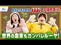【農業】世界の農家もガンバレルーヤ！