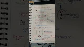 Biology# class 12 # megasporogenesis#Female gametophyte # embryo sac#ovule#ovary