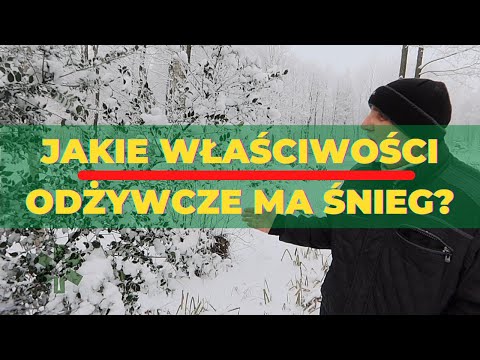 Wideo: Czy prześwit ma znaczenie na śniegu?