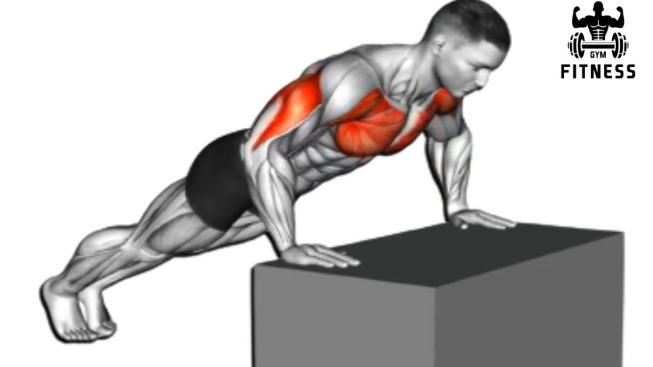 7 Best Push up exercise // Chest Exercise no Empiment //Chest Exercise