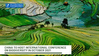 China to host international conference on biodiversity in October 2021
