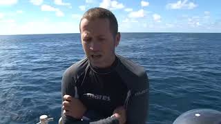 Nauru BIORAP - Part 2 screenshot 5