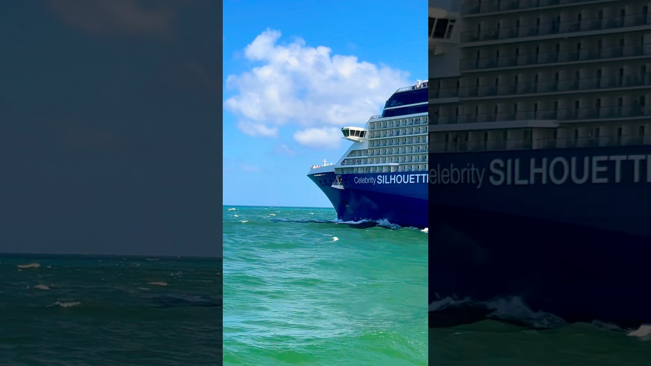 Celebrity SILHOUETTE 🛳️ #like #share #comment #subscribe #cruiseship #cruise #vacation #shorts #wow