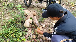 I Found 5 Puppies While Fishing. 3 Days Later, Only 2 Were Left, So I Made A Choice.