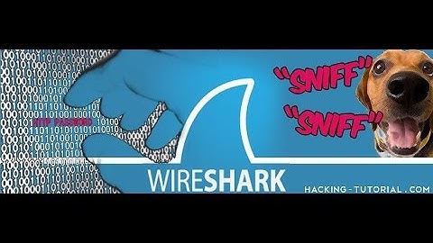 Solucion del Error de Wireshark en Kali LINUX