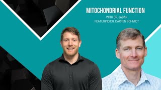 Mitochondria