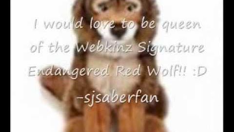 ♥ Signature Endangered Red Wolf Webkinz Official Queen!! ♥ (READ DESCRIPTION)