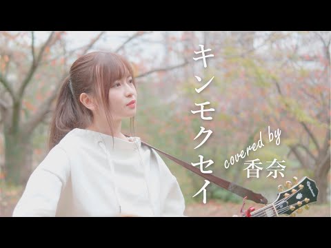 【可愛すぎるシンガーソングライターが歌う】キンモクセイ / オレンジスパイニクラブ covered by 香奈