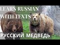 LEARN RUSSIAN WITH TEXTS: The Russian bear | РУССКИЙ МЕДВЕДЬ