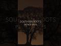 Discover 'Southern Roots' by Patrick Davis – A Must-Listen Singer-Songwriter Track 🎶