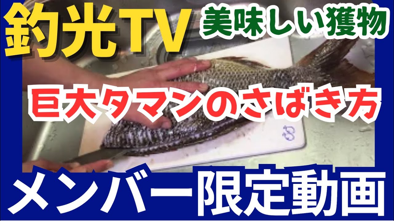 魚のさばき方 ハマフエフキ タマン Japanese Chef Preparing Sashimi Youtube 魚のさばき方 ハマフエフキ タマン Japanese Chef Preparing Sashimi Youtube