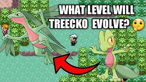 How to Evolve Treecko to Grovyle on Pokemon Ruby/Sapphire/Emerald