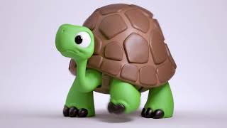 Tortoise Walk - Animation Cycle