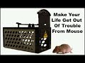"Make Your Life Get Out Of Trouble From Mouse" Mousetrap Monday