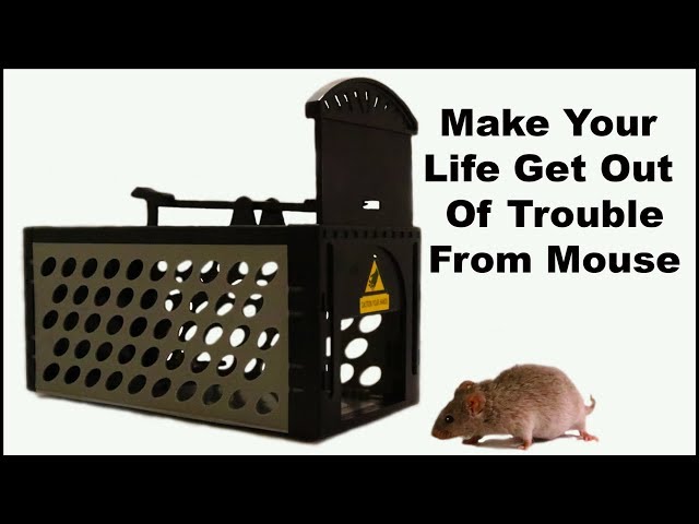 13 Reasons Your Mouse Traps Aren't Getting The Job Done