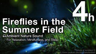 Fireflies in the Summer Field [4 Hour] 🎧 Ambient Nature Sound | For Relaxation, Mindfulness, & Sleep