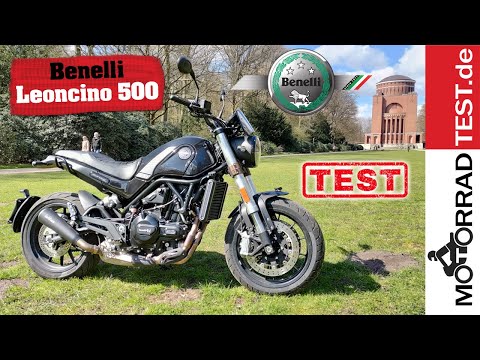 Benelli Leoncino 500