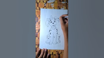 Dog Drawing Tutorial for beginners #art #shorts #drawing