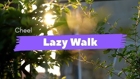 Lazy Walk - Cheel | Footage | Cinematic