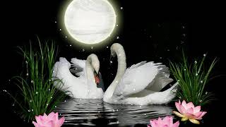MoonLight music /Fon Müziği /Музыка для души