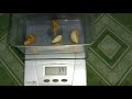 Pembuatan pestisida alami dari bawang putih dan jahe