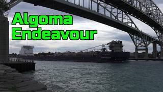 225m The Algoma Endeavour Is A Modern Seaway Max Self Discharging Bulk Carrier