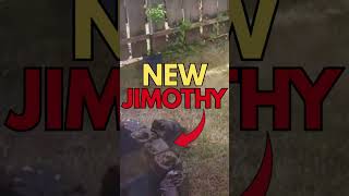 NEW Jimothy - Spotted In Backyard