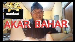 MANFAAT  AKAR BAHAR