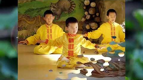 Khúc hát cho con & Câu chuyện cảm động Falun Dafa
