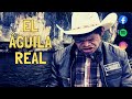 El Águila Real - Marin Velasco