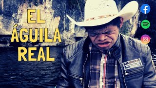 Video thumbnail of "El Águila Real - Marin Velasco"