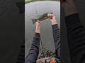 Largemouth bass slammed the fluke #adventure #bassfishing