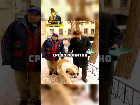 Бережём окружающую среду🤣#shorts #городок #сериал #юмор #ржака #приколы
