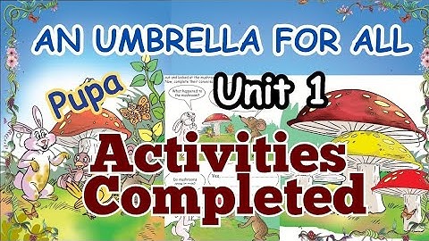 Pupa|Unit 1| AN UMBRELLA FOR ALL|Activity Book completed|Class 2|