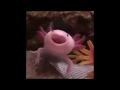 Axolotl scream