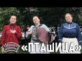 Играй, гармонь! | Трио «Пташица» (г. Санкт-Петербург) | Вишенье (муз. Г. Пономаренко, сл. В. Боков)