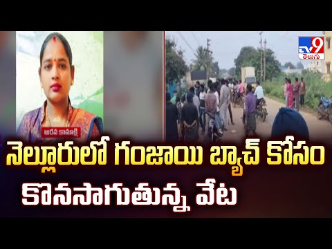 నెల్లూరులో గంజాయి బ్యాచ్ కోసం కొనసాగుతున్న వేట - TV9 - TV9