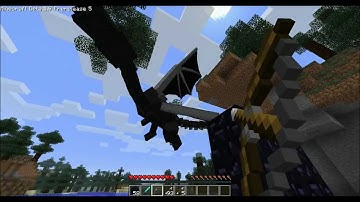 EnderDragon fight! - MrMadMinecraft