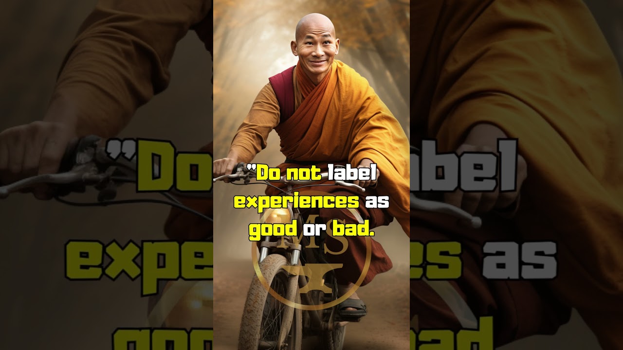 Why to Seek for Experiences! 