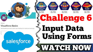 Input Data Using Forms || Visualforce Basics || Salesforce || Challenge 6