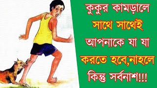 কুকুর কামড়ালে সাথে সাথেই আপনাকে যা যা করতে হবে, নাহলে পরে ডাক্তারের কিছু করার থাকবে না ! screenshot 3