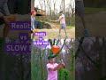 Which shot was the best? 🎥