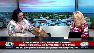 WHHI NEWS | Kimm Strasbaugh: Reintroducing The Litter Box Thrift Store | Hilton Head Humane | WHHITV