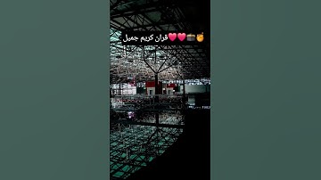 #تلاوة_خاشعة #معاذ_صيام -قران-كريم#